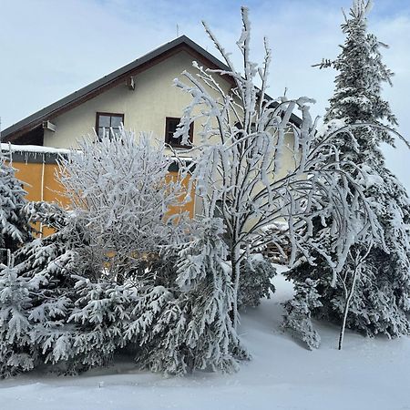 Vila Srdeční záležitost Boží Dar Exteriér fotografie