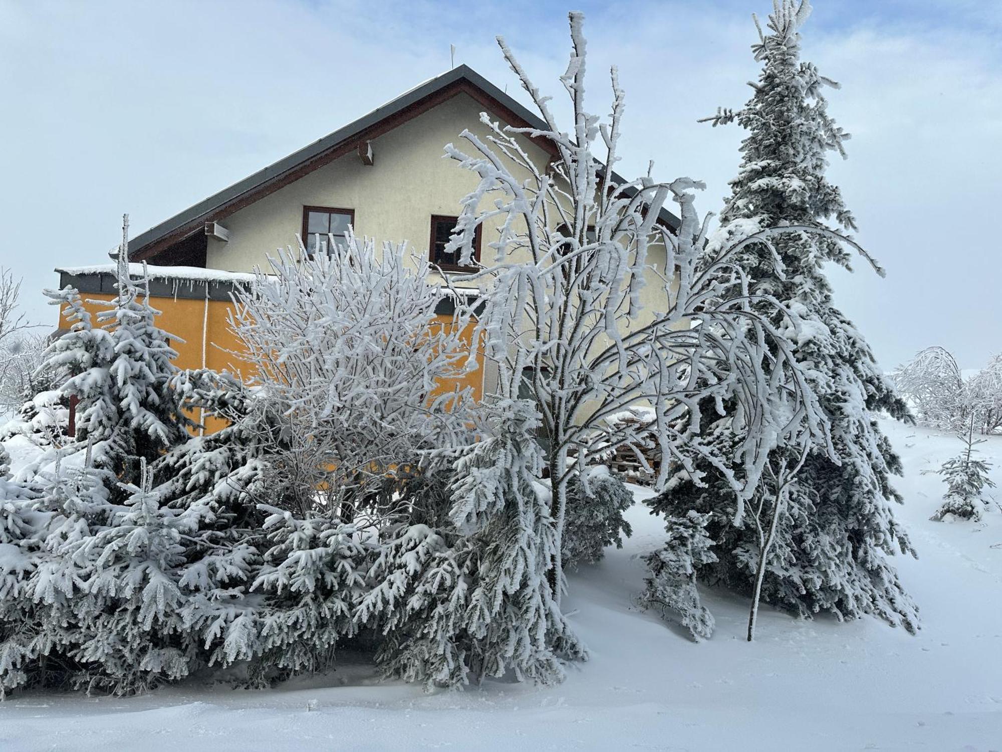 Vila Srdeční záležitost Boží Dar Exteriér fotografie